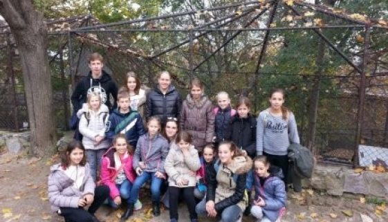 Tekmovanje v Beogradu 2015