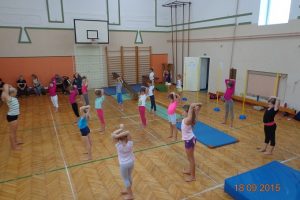 Dan odprtih vrat gimnastičnih dvoran 2015