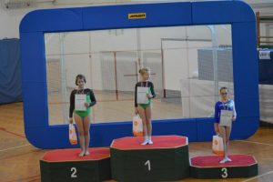Državno prvenstvo v skokih z velike prožne ponjave v Renčah 2017
