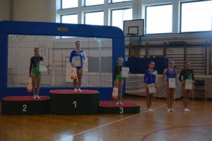 Državno prvenstvo v skokih z velike prožne ponjave v Renčah 2017