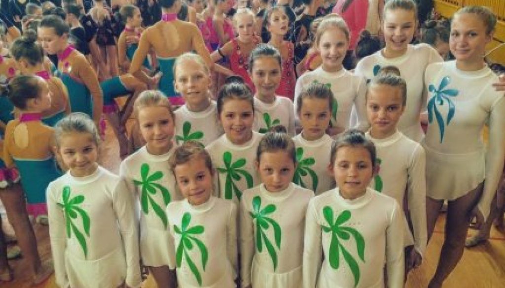 Druga prvenstvene tekma skupinskih sestav v ritmični gimnastiki 2016 Vrhnika