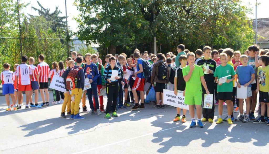 Veter v laseh 2013