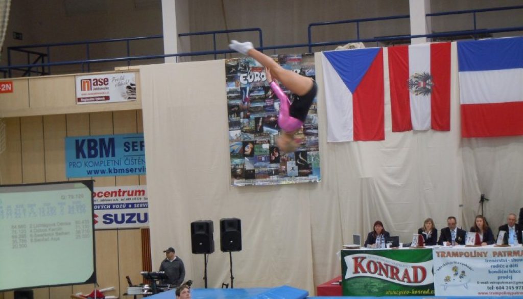 International Trampoline Friendship Cup 2013