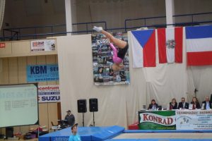 International Trampoline Friendship Cup 2013