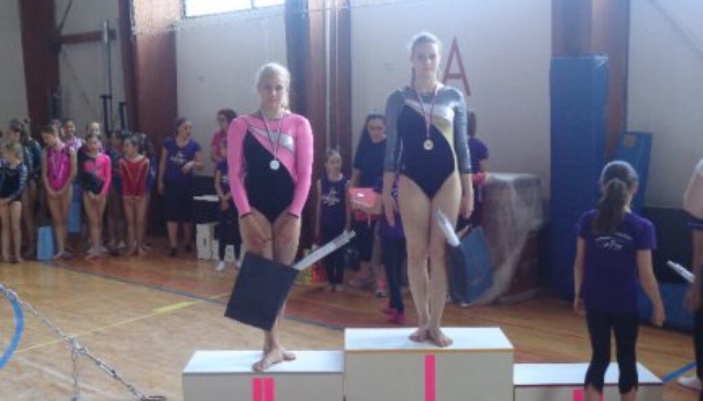 Asja na stopničkah Pokal Slovenije 2014