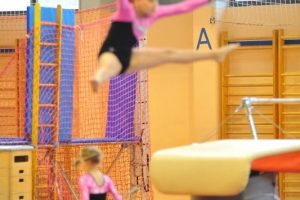 Gimnastična akademija 2014