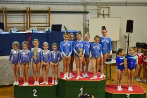 Odprto-prvenstvo-skoki-velika-prozna-ponjava-Rence-2018-02 Odprto prvenstvo v skokih na veliki prožni ponjavi Renče 2018